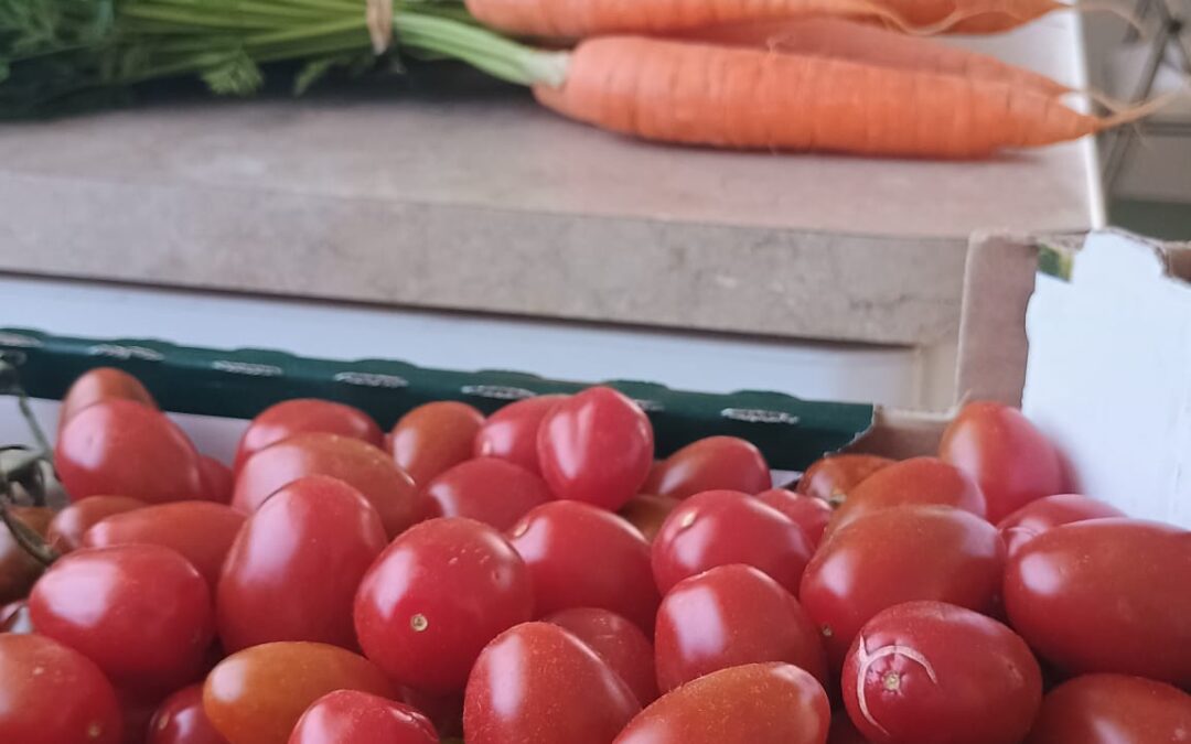 Alimentación Pública Sostenible en Guadalajara
