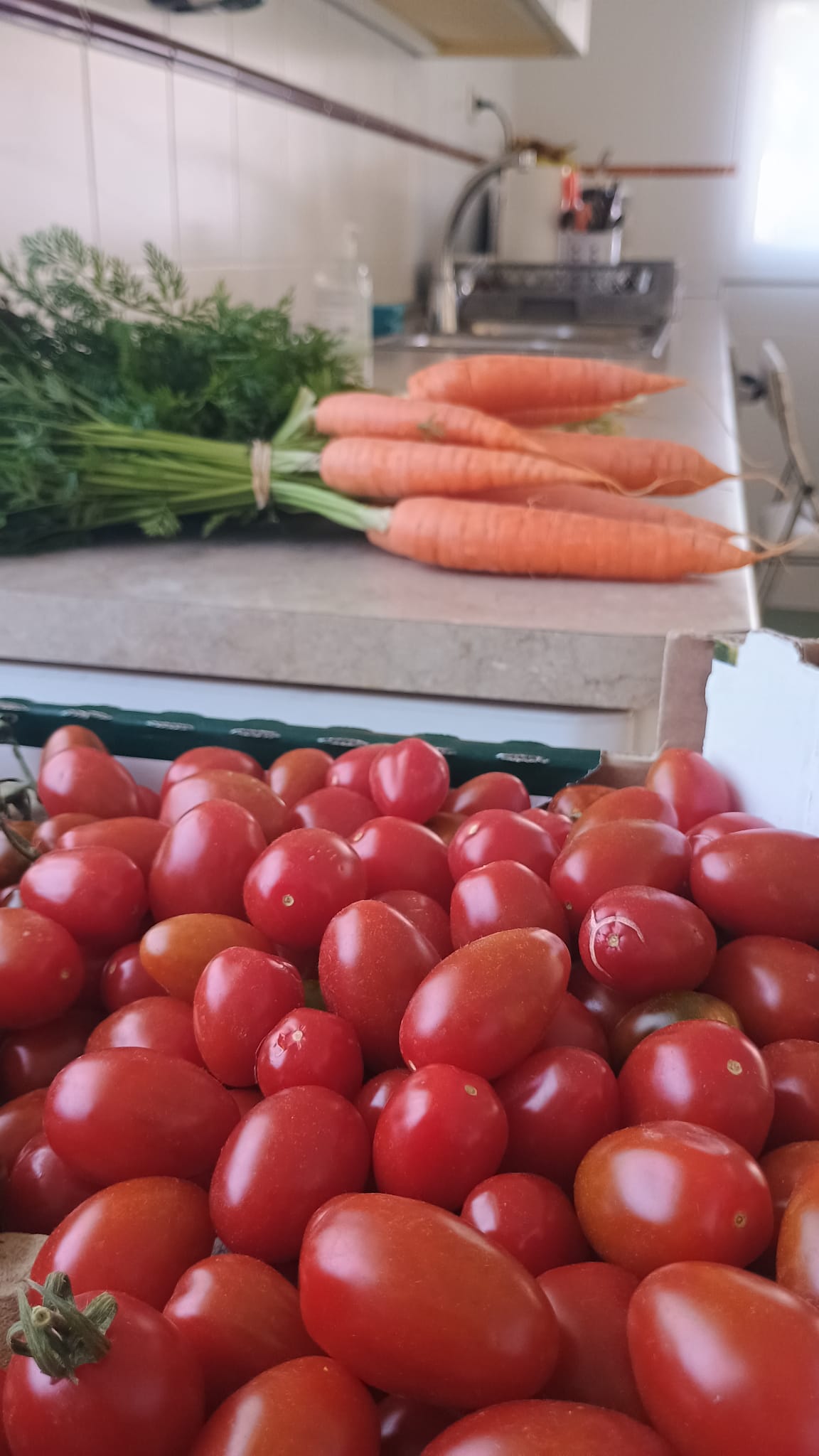 Alimentación Pública Sostenible en Guadalajara